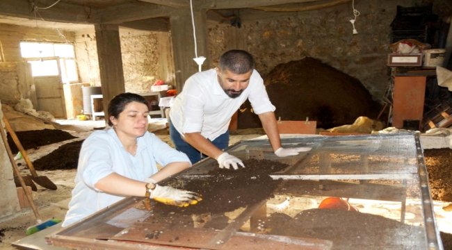 Sasonlu Çift Solucan Gübresi Üretiyor