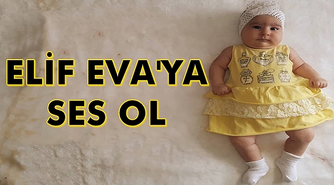 Elif Eva'ya Ses Ol