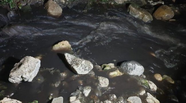 İznik Gölü'ne akan derenin suyu siyaha büründü