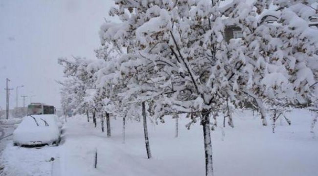 Bitlis'te 224 köy yolu ulaşıma kapandı