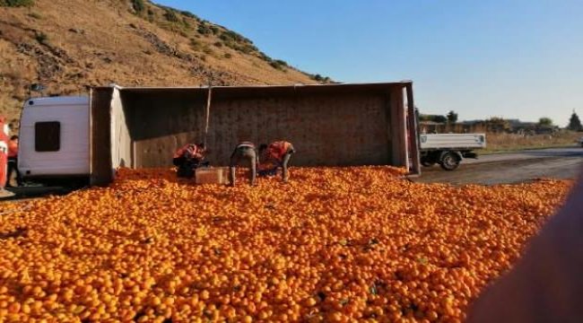 Kamyon devrildi; 15 ton mandalina yola saçıldı