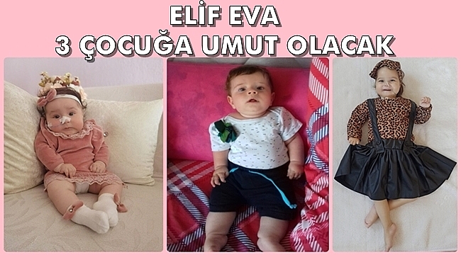 Elif Eva İçin Toplanan Paralar 3 Smalıya Bağışlandı