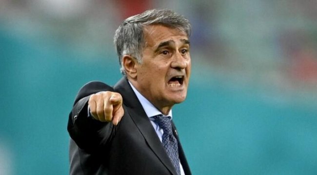 Şenol Güneş'ten istifa yanıtı