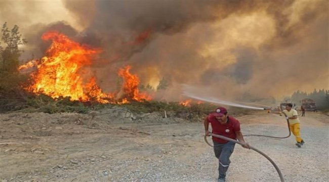 Manavgat'taki yangında 50 bin hektara yakın alan kül oldu