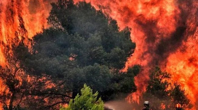 Yunanistan'da yangın söndürme uçağı düştü