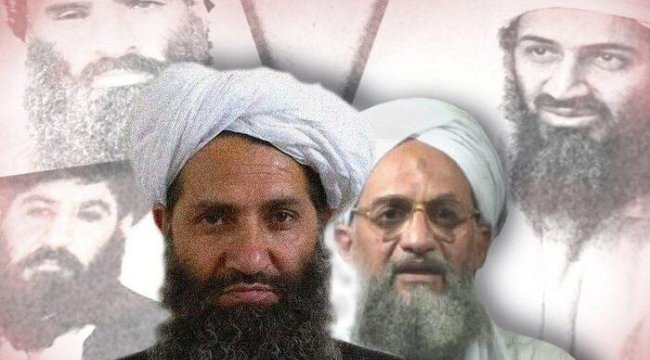 El Kaide'yi Taliban'a bağlayan sadakat yemini neydi, ilişkiler nereye evrilecek?