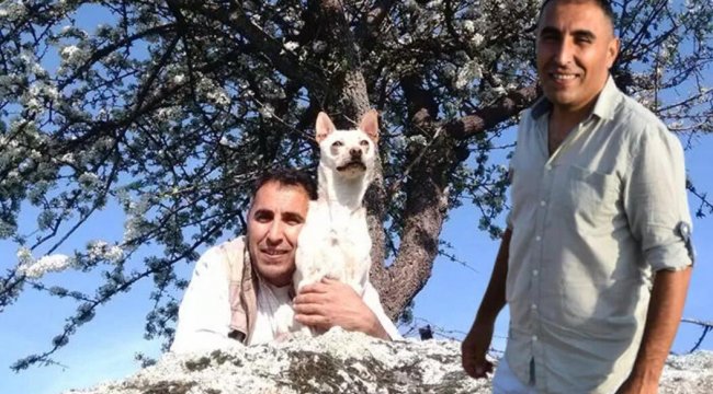 Sosyal medya Taşkın Daşdan'ı konuşuyor: İngiliz turist servetini ona bıraktı