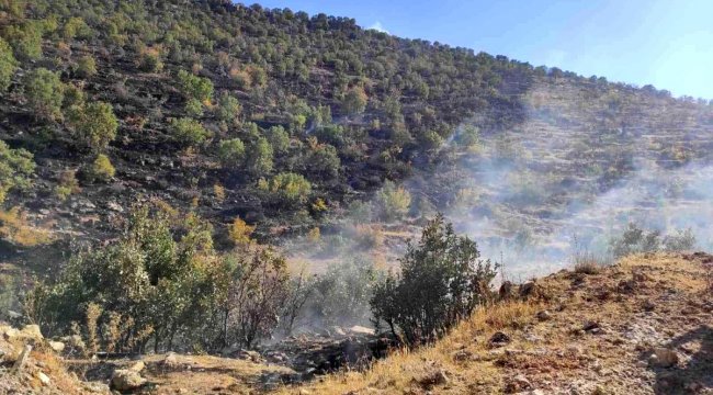 Gercüş'te çıkan yangında 250 dönümlük alan hasar gördü