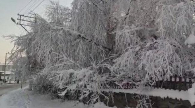 Doğu'da Sibirya soğuğu! Eksi 26.4 dereceyi gördüler