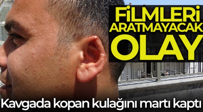 Film senaryolarını aratmayacak olay: Kavgada kopan kulağını martı kaptı