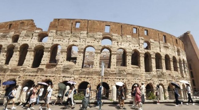 Roma'yı Fareler Bastı Sayıları 7 milyonu aştı