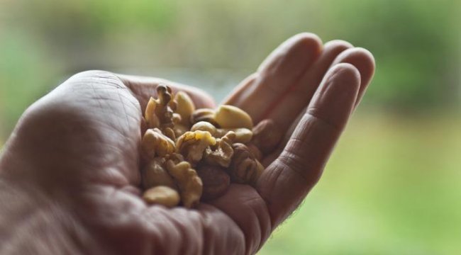 Her gün bir avuç tüketin! Demans riskini büyük oranda azaltıyor